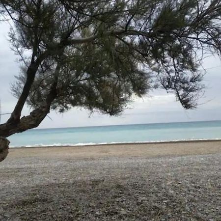 Casa Carmen Martinez 36 A Hotel Moncófar Екстериор снимка